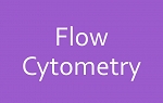 Flow Cytometry Advanced Bootcamp 2/23 & 2/24/17 thumbnail Photo