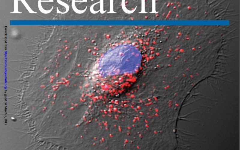 Davis Lab on the Feb 2017 Cover of Circulation Research thumbnail Photo