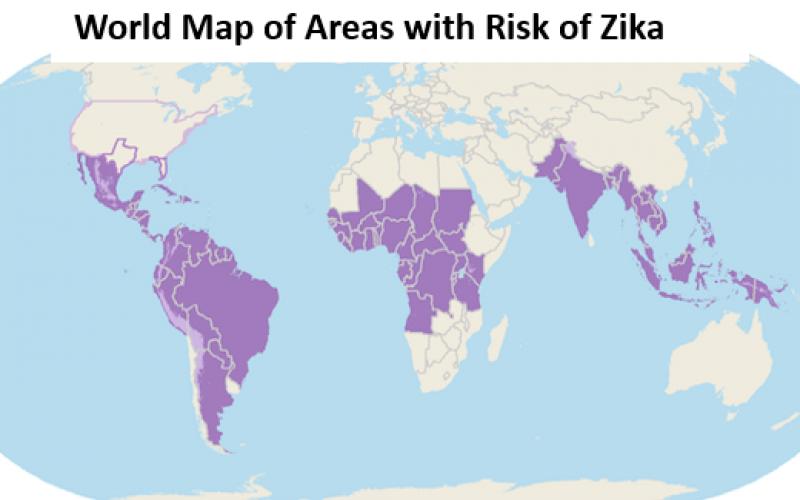Researchers advise long-term monitoring of infants infected with Zika early after birth thumbnail Photo