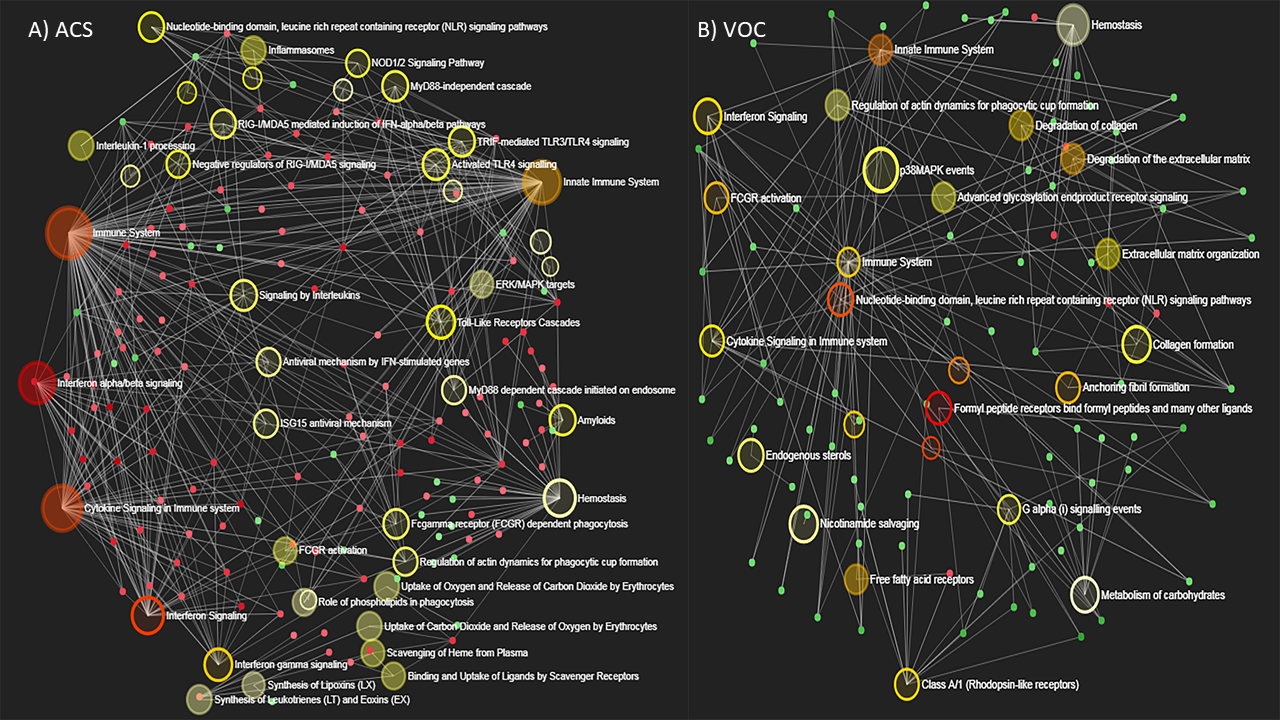 Altered gene regulatory networks in sickle cell lung disease Carousel Photo