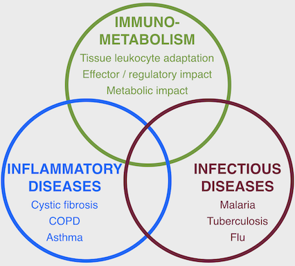 Focus: immune and metabolic mechanisms of human disease Carousel Photo